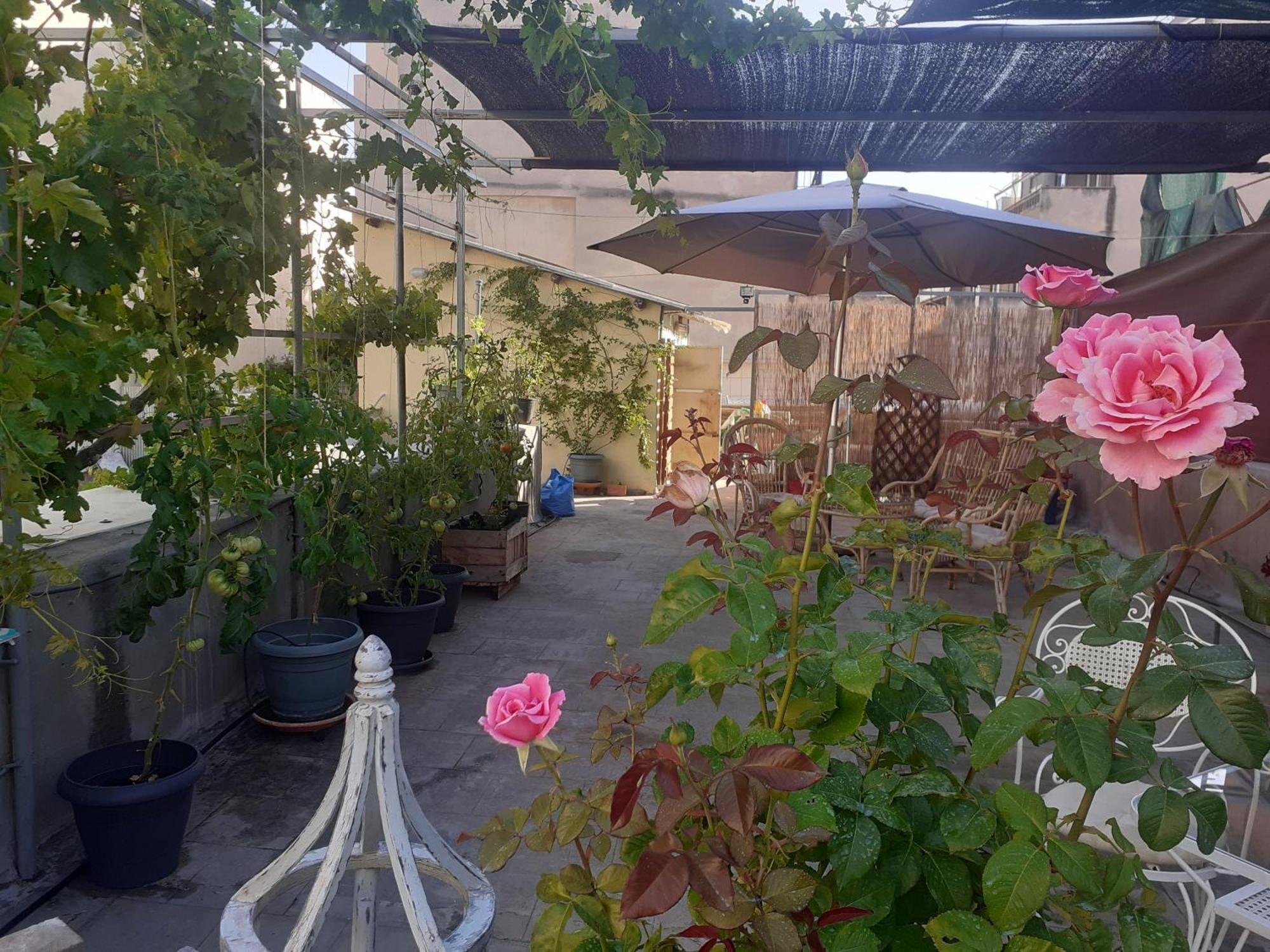 17 Flats And Roof Garden Apartment Атина Екстериор снимка